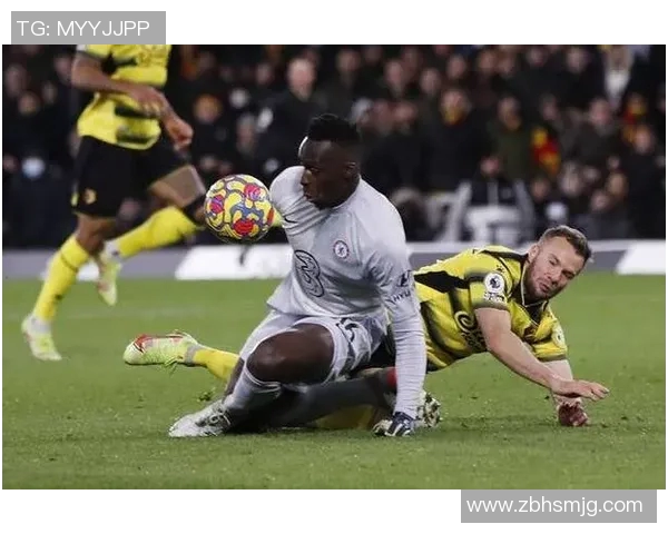 切菲尔德与南安联的激烈对决展现英冠足球的魅力与竞争力 切菲尔德与南安联的激烈对决展现英冠足球的魅力与竞争力