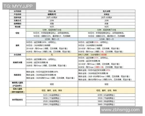 广州网球队实力深度解析与对比分析探讨