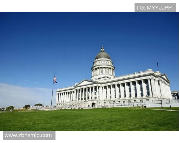 盐湖城与危市政的较量：探索城市发展与治理的未来之路